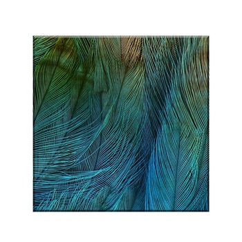 Sticla bucatarie securizata Saint Gobain Glass® imprimata 65x65cm, protectie antistropire pentru aragaz, Ambra Deco, Textura pene Sticla bucatarie securizata Saint Gobain Glass® imprimata 65x65cm, protectie antistropire pentru aragaz, Ambra Deco, Textura pene