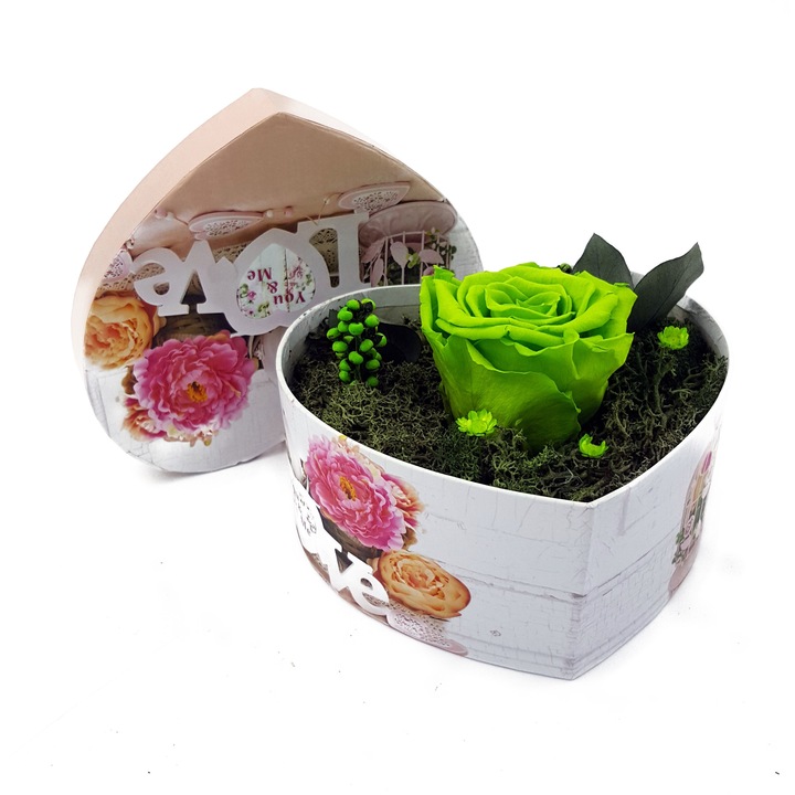 Trandafir Criogenat, verde lime, pe pat de muschi stabilizat, intr-o cutie in forma de inima