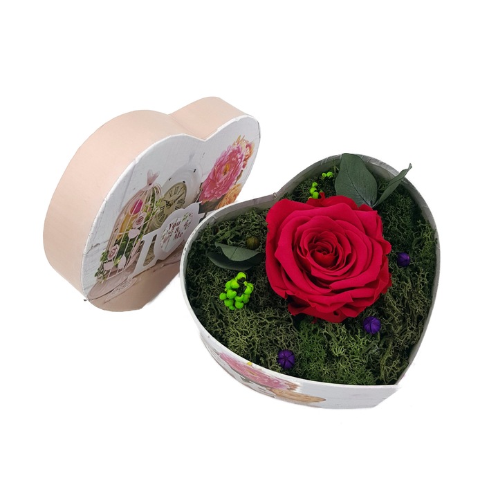 Trandafir Criogenat, fucsia, pe pat de muschi stabilizat, intr-o cutie in forma de inima