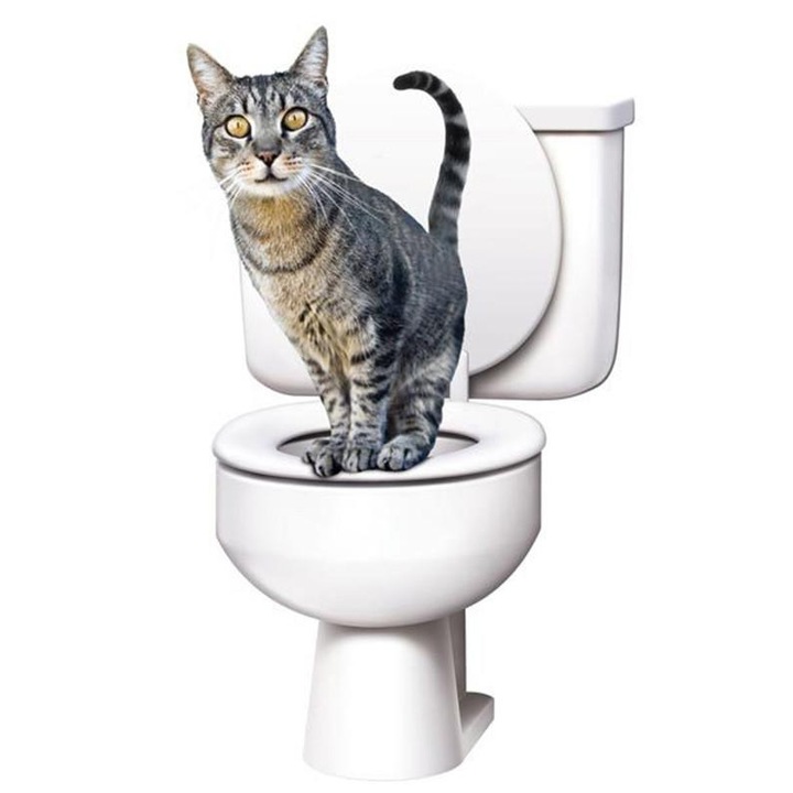 FOXMAG24 Citi Kitty WC-kiképző készlet, 3 hónaposnál idősebb macskákhoz
