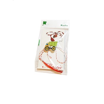 Martisor multicolor Masinuta Martisor multicolor Masinuta