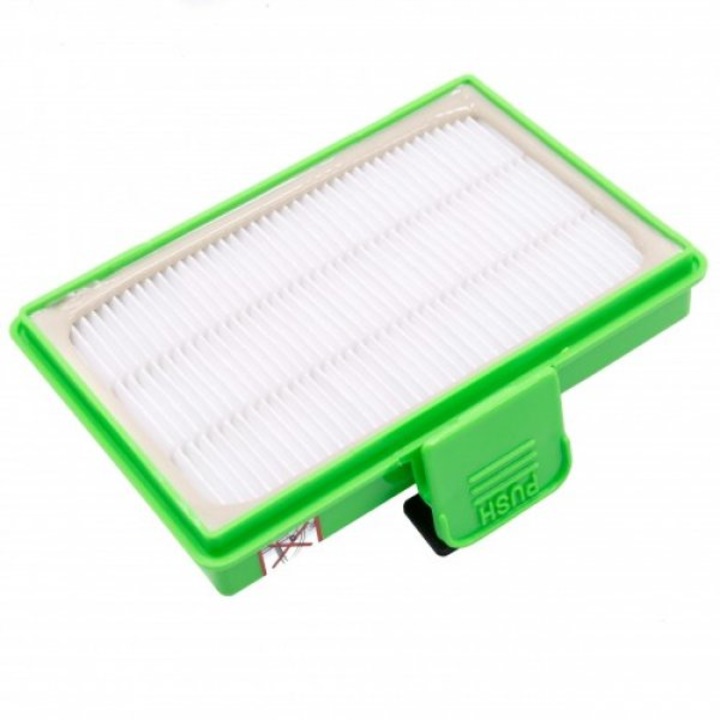 Filtru Hepa pentru Rowenta RO2321EA tip RS-RT9977