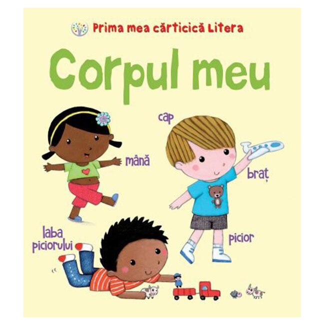 Prima Mea Carticica Litera. Corpul Meu