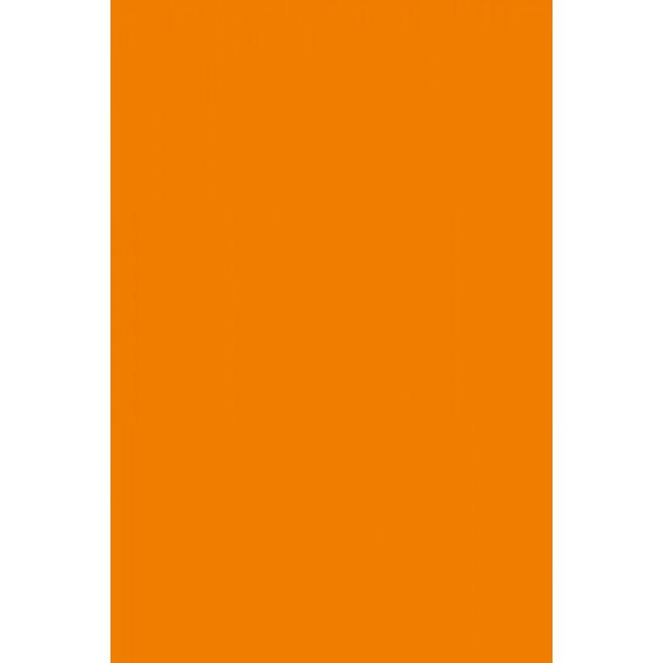 Eticheta autoadeziva A4 Portocaliu 100/set