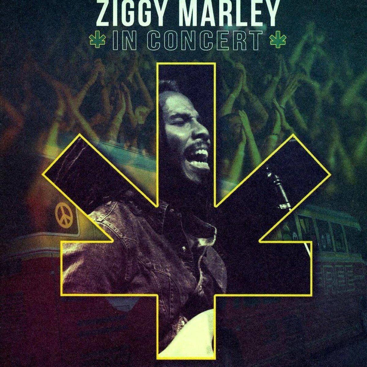 Ziggy Marley - In Concert - CD Digipack