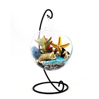 Terariu in glob suspendat cu planta suculenta, Gradina Zanelor, 12 cm