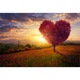 Картина на платно Canvas Heart Tree, 70 x 50 cm
