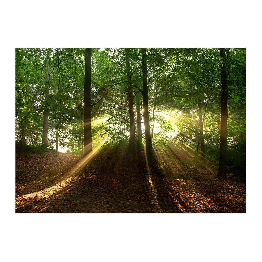 Tablou ,iMK® , canvas, stil natura, 50 x 70 cm