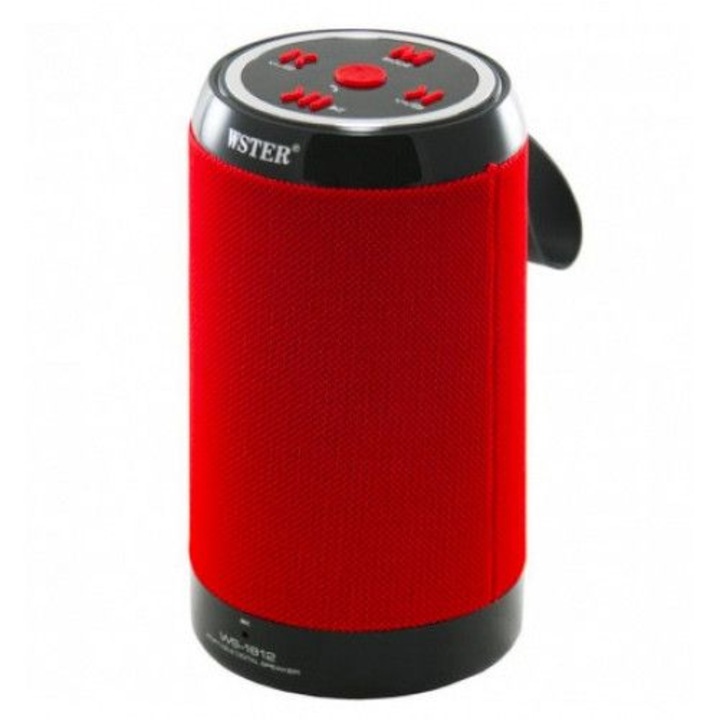 Wster WS-1812, baterie si conexiuni