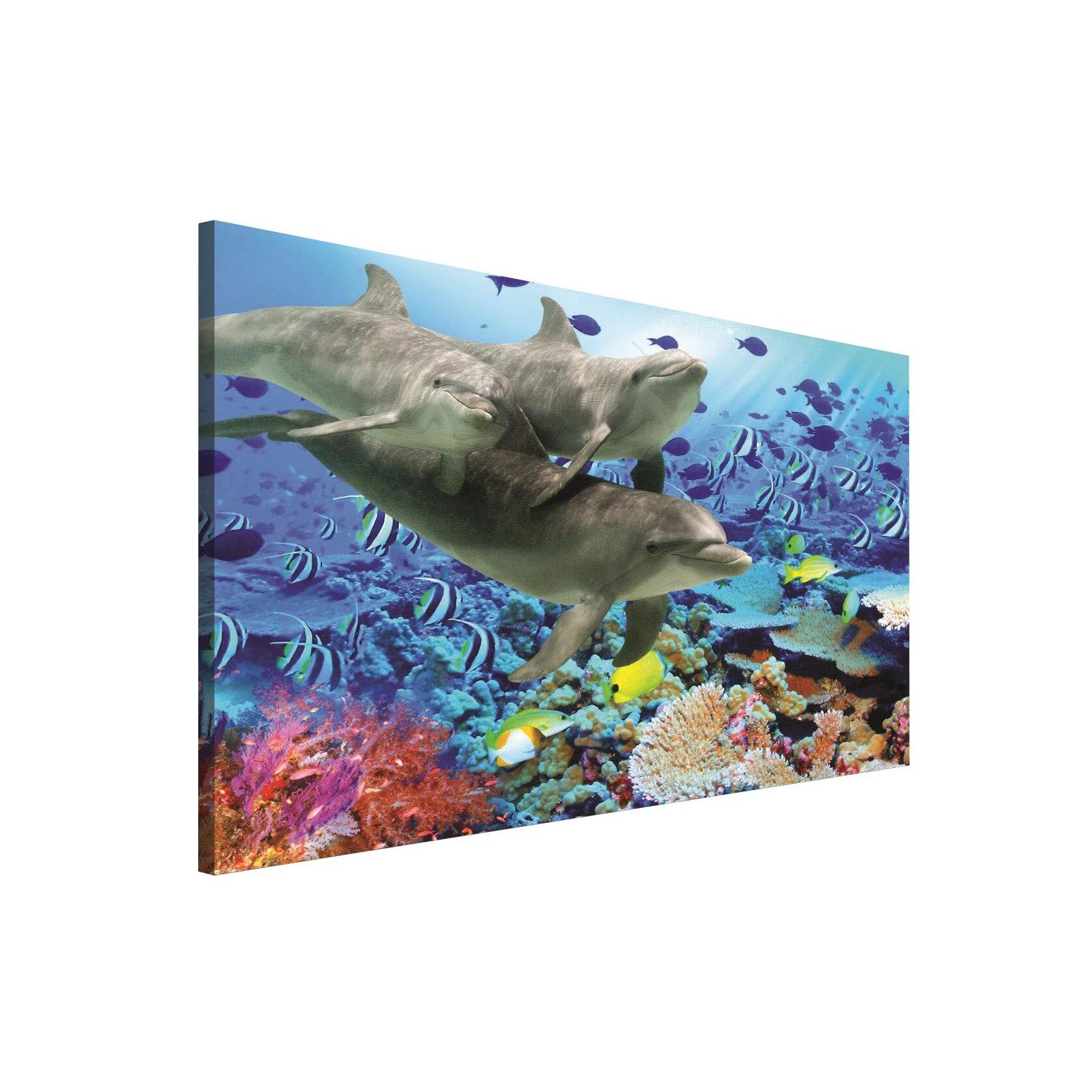 Tablou Canvas DEGRETS 78009 Delfini, 75x100cm