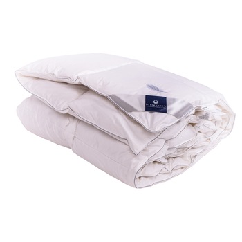 Pilota Adri din puf si pene de gasca, 135 x 200 cm, Billerbeck Pilota Adri din puf si pene de gasca, 135 x 200 cm, Billerbeck