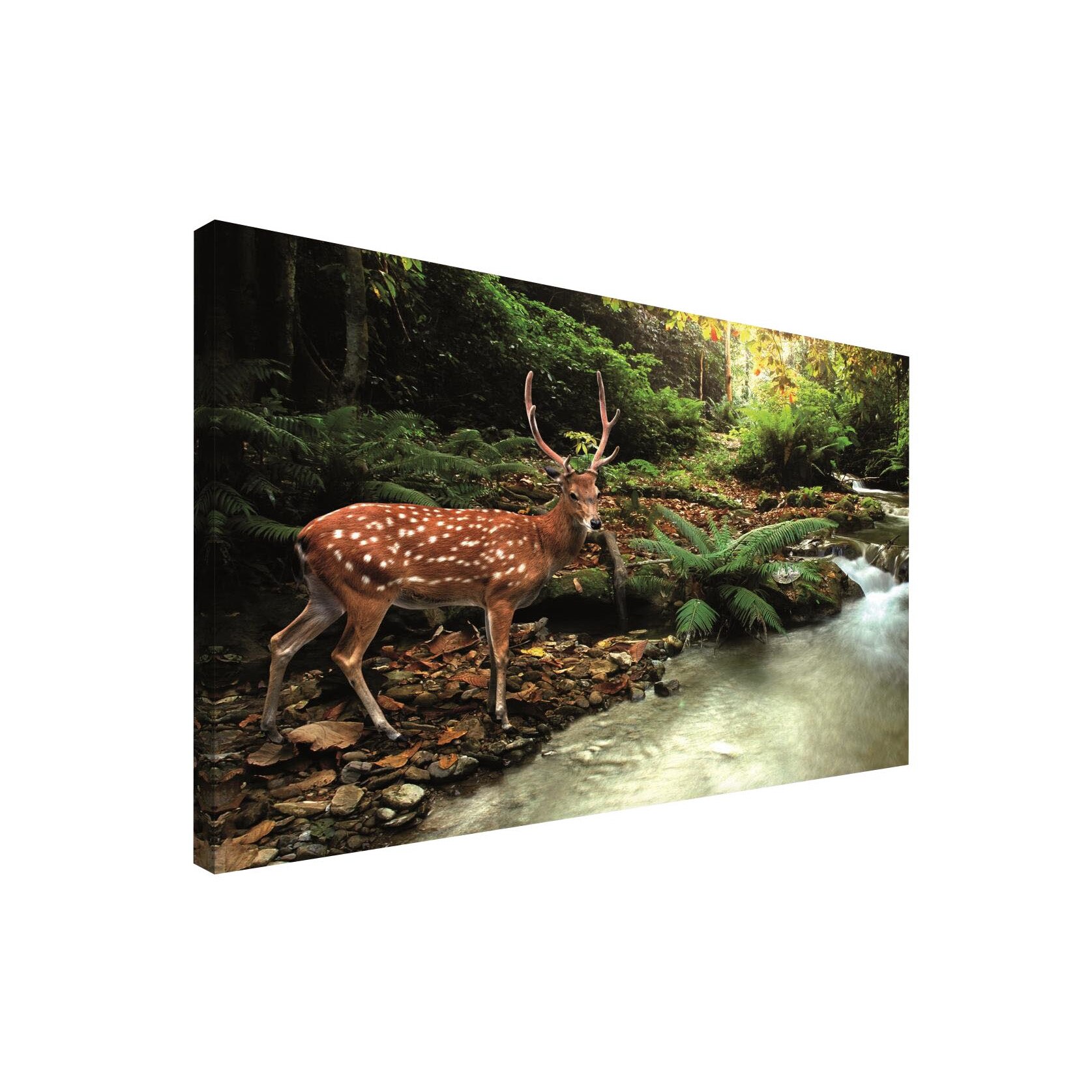 Tablou Canvas DEGRETS 78031 Caprioara langa rau, 75x100cm