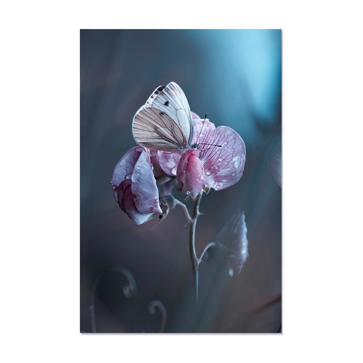 Tablou Canvas - Orhidee, Natura, Floare, 60 x 90 cm