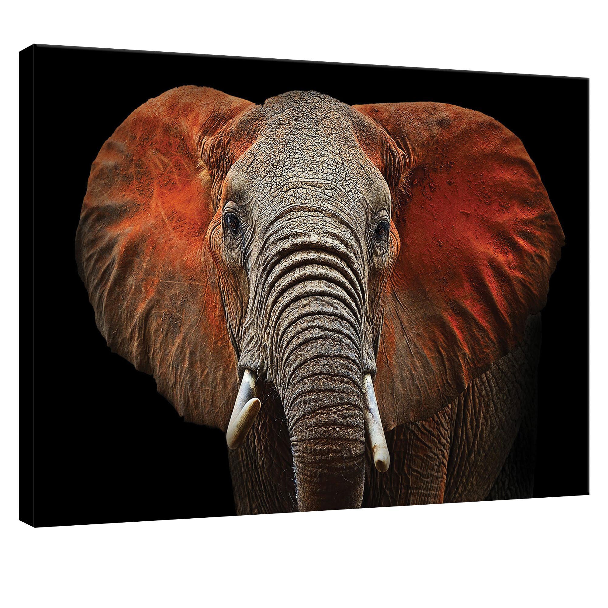 Tablou Canvas DEGRETS 78014 Elefant - arta, 75x100cm