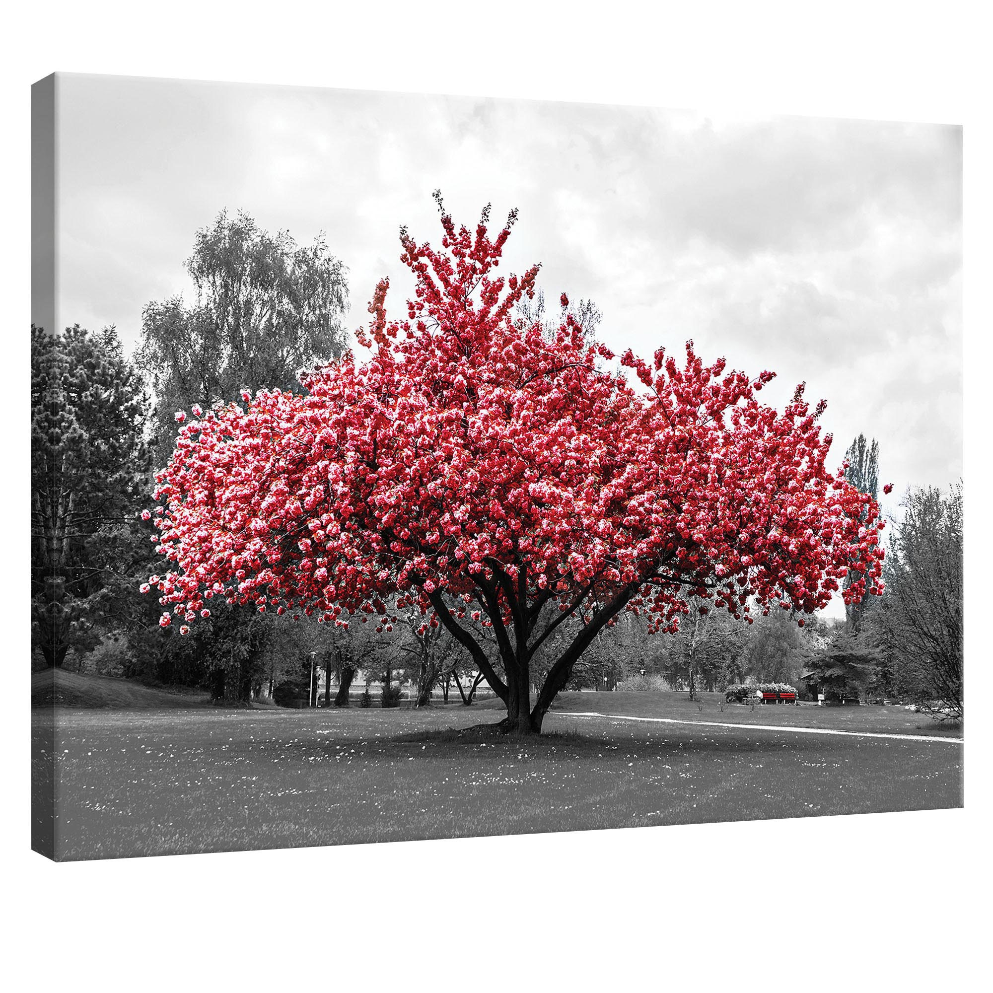 Tablou Canvas DEGRETS 78019 Culoare Roz, 75x100cm