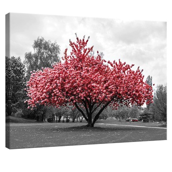 Tablou Canvas DEGRETS 78019 Culoare Roz, 75x100cm Tablou Canvas DEGRETS 78019 Culoare Roz, 75x100cm