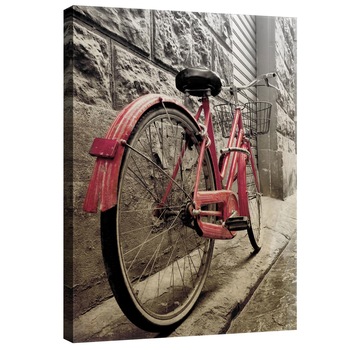 Tablou Canvas DEGRETS 78029 Roata roz, 100x75cm Tablou Canvas DEGRETS 78029 Roata roz, 100x75cm