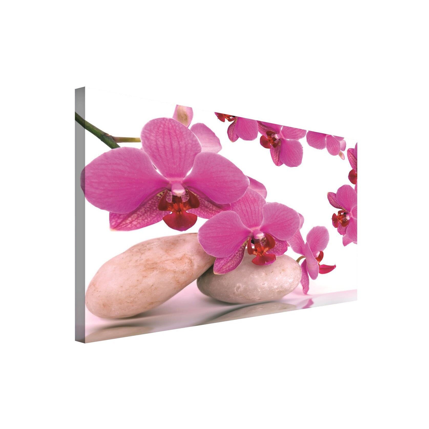 Tablou Canvas DEGRETS 78039 Orhidee Zen 1, 75x100cm