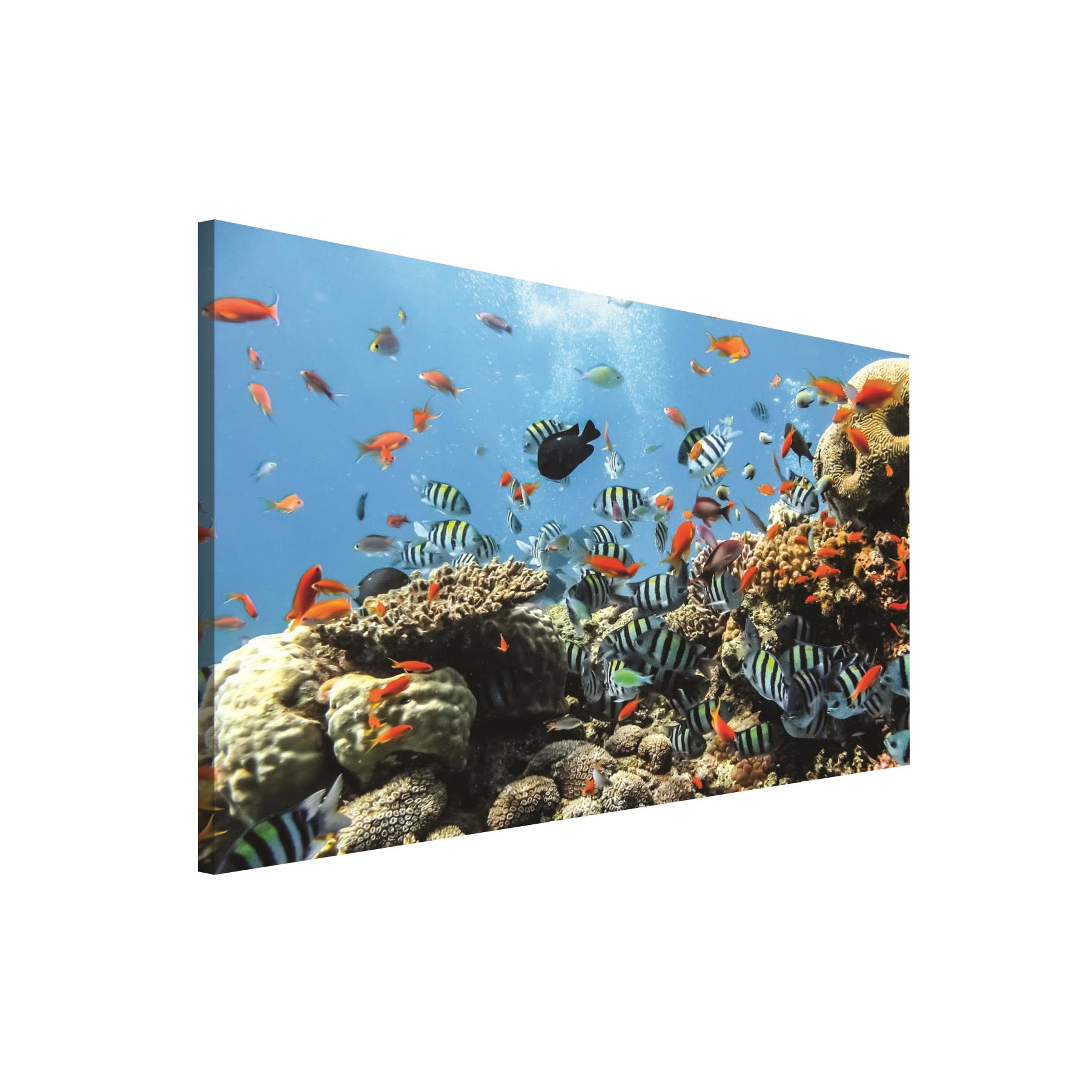 Tablou Canvas DEGRETS 78042 Recif, 75x100cm