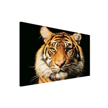 Tablou Canvas DEGRETS 78051 Tigru 2 3D, 75x100cm Tablou Canvas DEGRETS 78051 Tigru 2 3D, 75x100cm