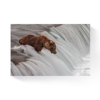 Tablou Canvas - Urs, Animal, Rau, Natura 60 x 90 cm Tablou Canvas - Urs, Animal, Rau, Natura 60 x 90 cm