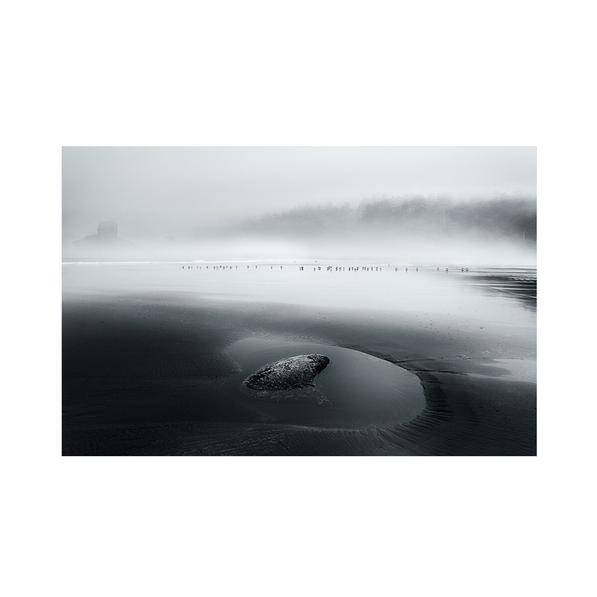 Tablou Canvas - Natura, Peisaj, Ceata, Alb si negru 60 x 90 cm