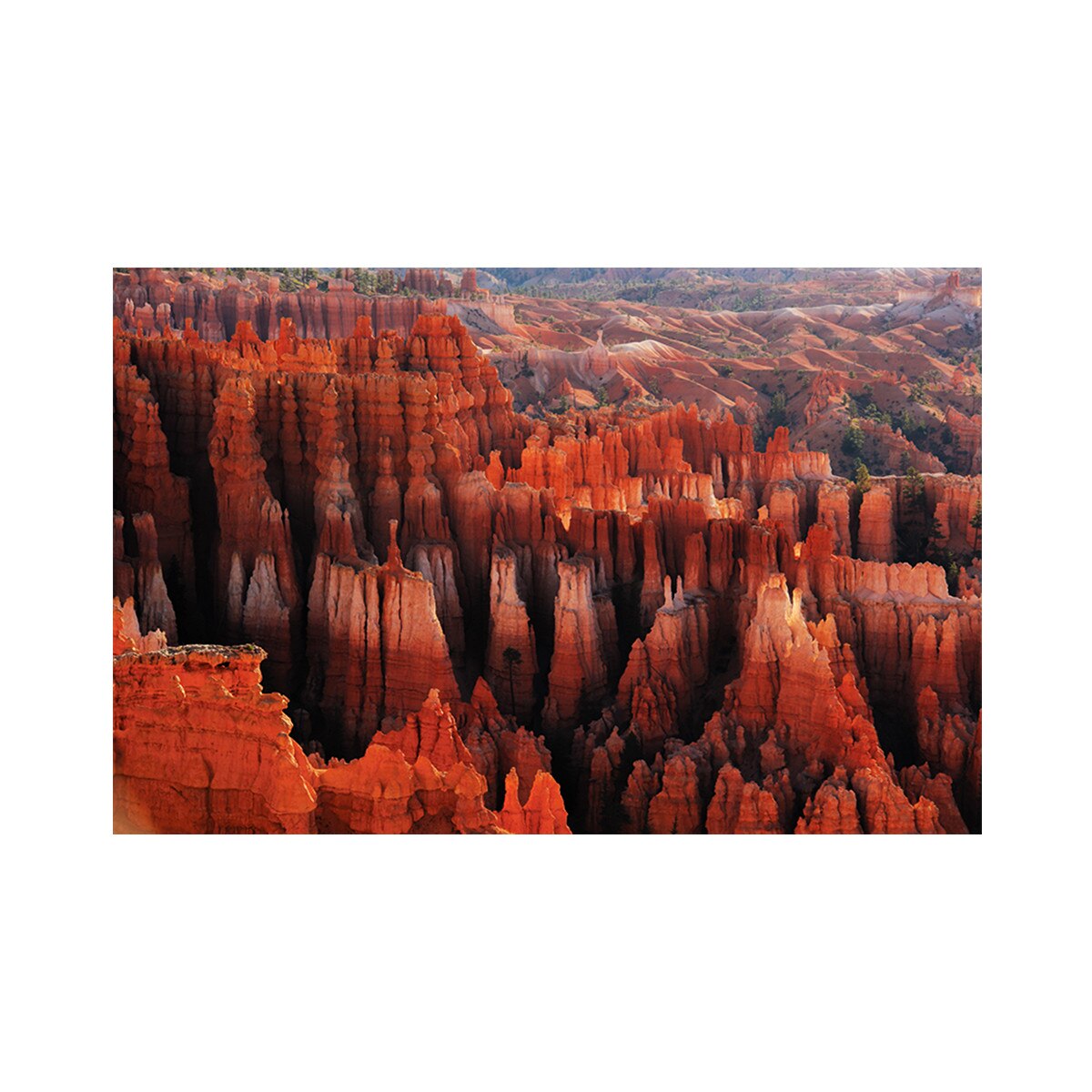 Tablou Canvas - Grand Canyon, Natura, Peisaj 60 x 90 cm