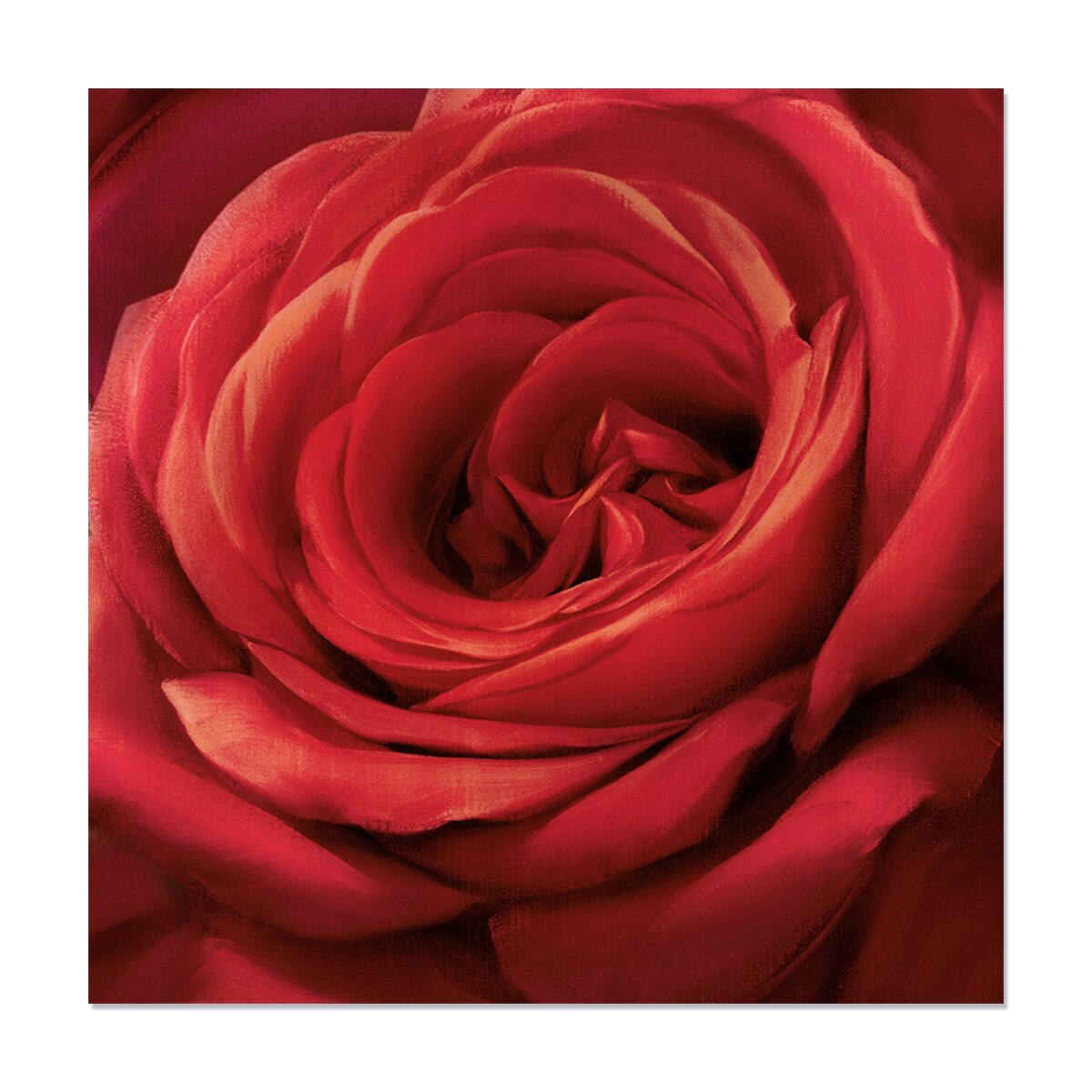 Tablou Canvas - Trandafir, Floare, Rosu, 60 x 60 cm