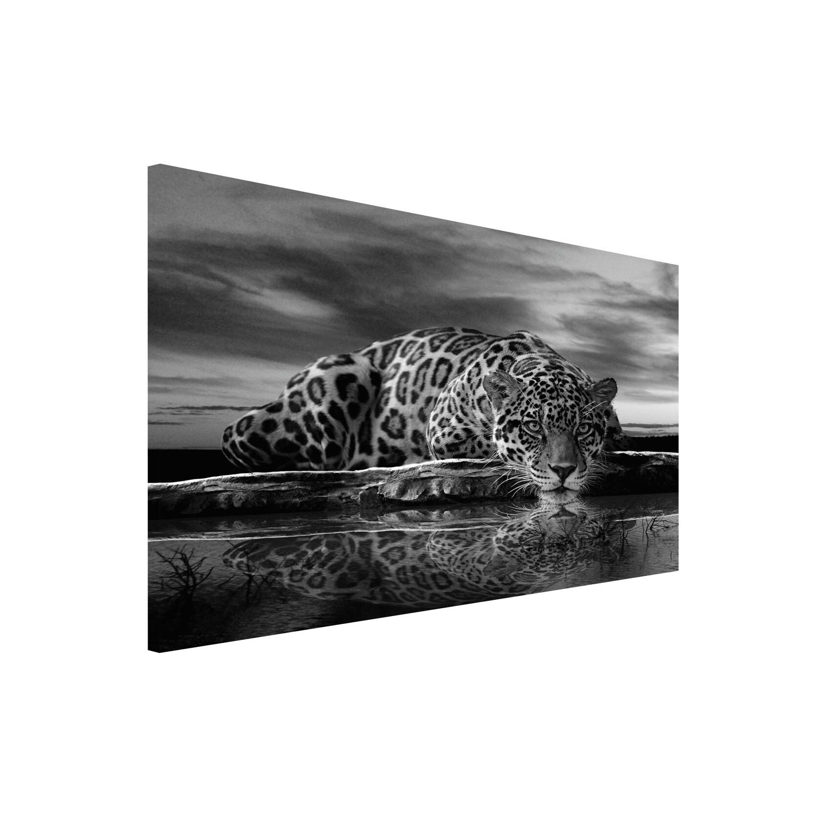 Tablou Canvas DEGRETS 78073 Leopard 1, 75x100cm