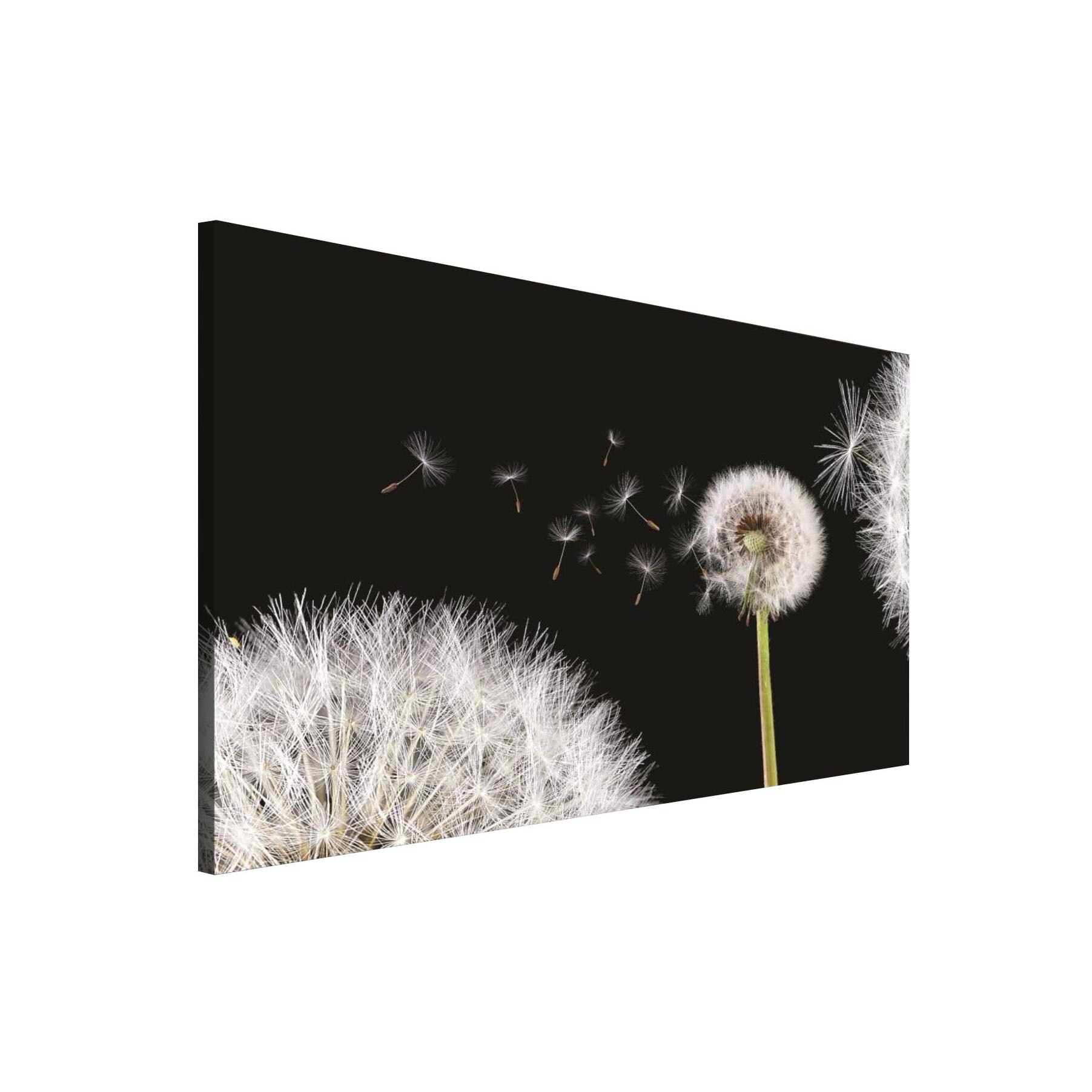 Tablou Canvas DEGRETS 78076 Papadie 1 3D, 75x100cm