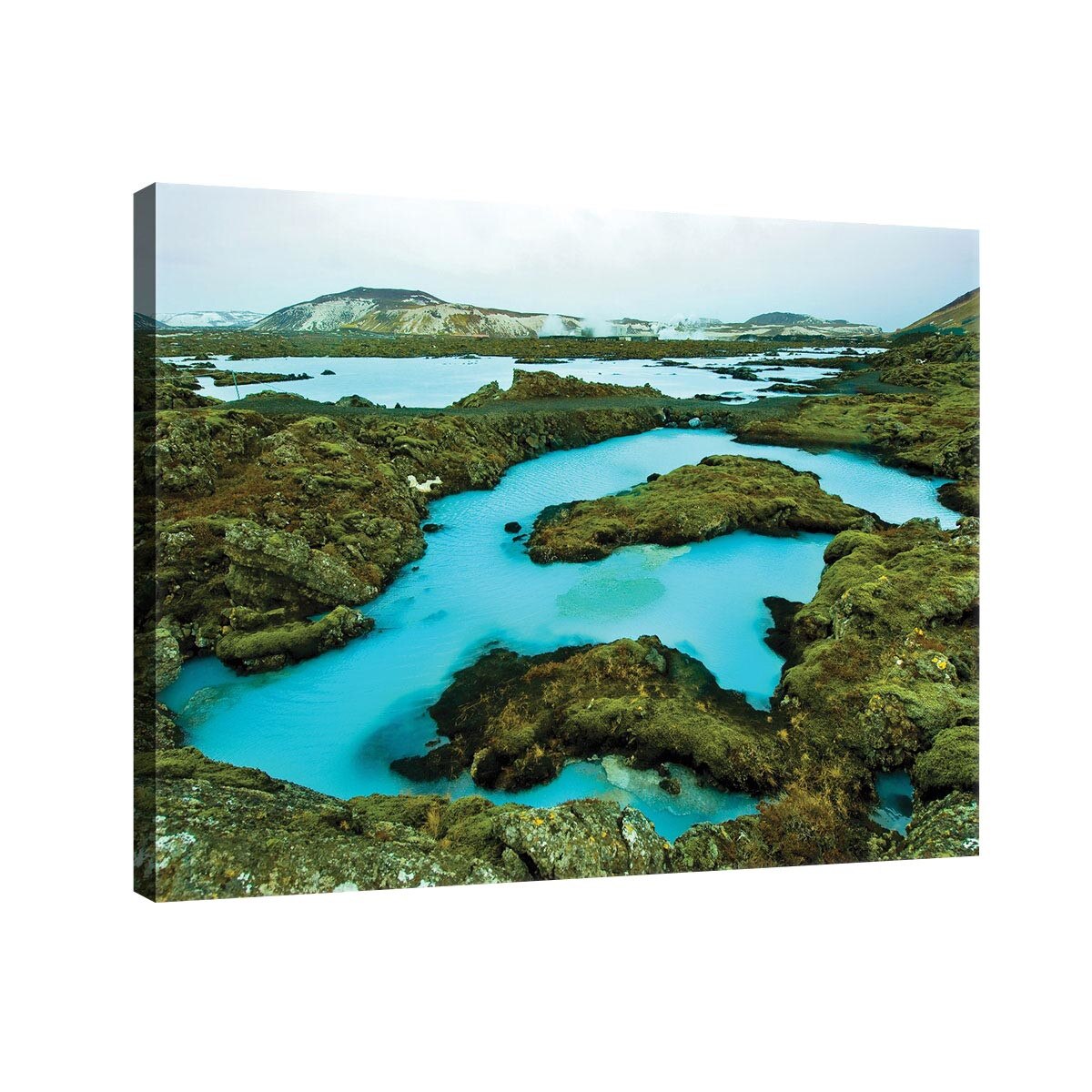 Tablou Canvas DEGRETS 78120 Natura 2, 75x100cm