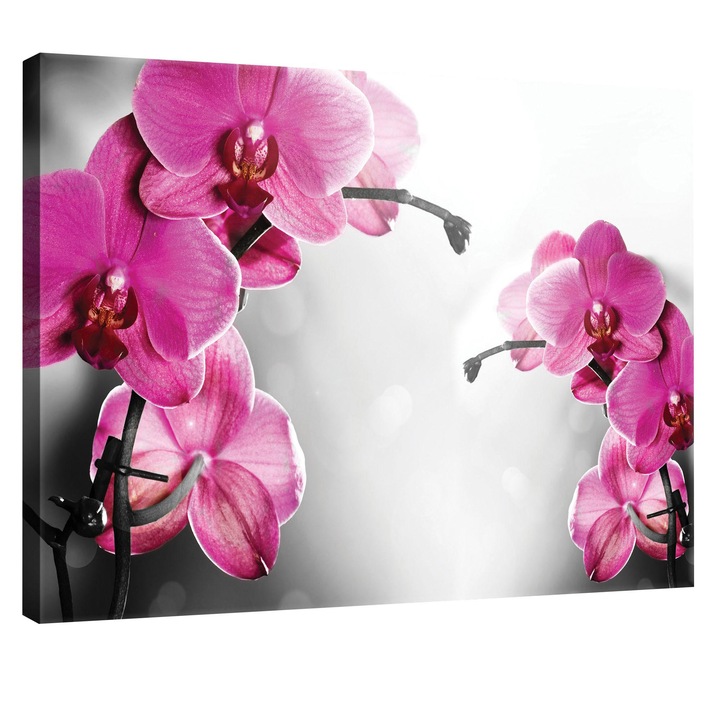 Tablou Canvas DEGRETS 78128 Orhidee Ticlam 1, 75x100cm