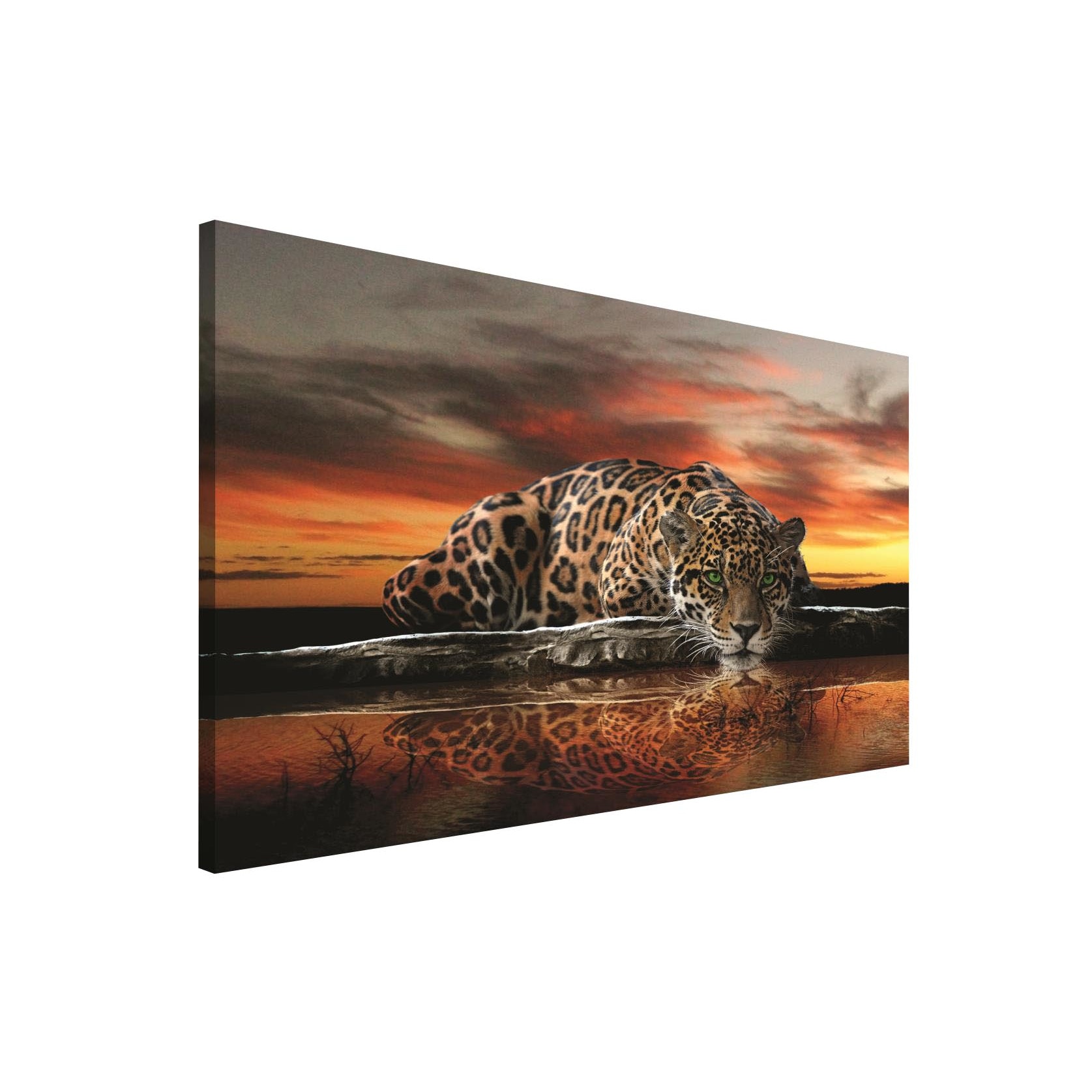 Tablou Canvas DEGRETS 78129 Leopard 2, 75x100cm