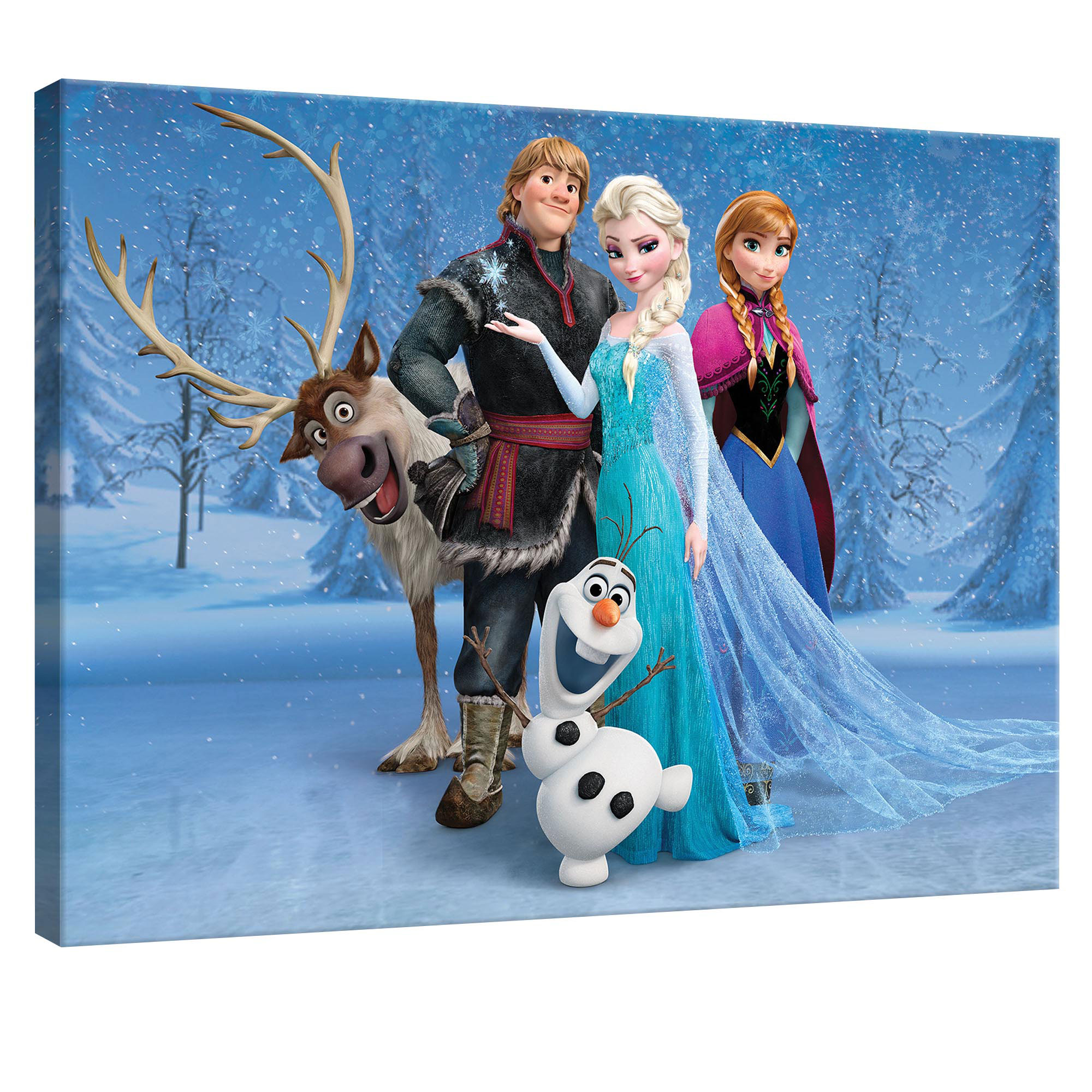 Tablou Canvas DEGRETS 78148 Frozen 1, 75x100cm