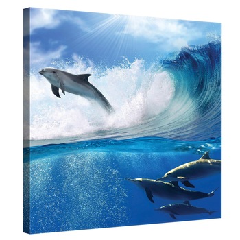 Tablou Canvas DEGRETS 78156 Delfini in mare, 80x80cm Tablou Canvas DEGRETS 78156 Delfini in mare, 80x80cm