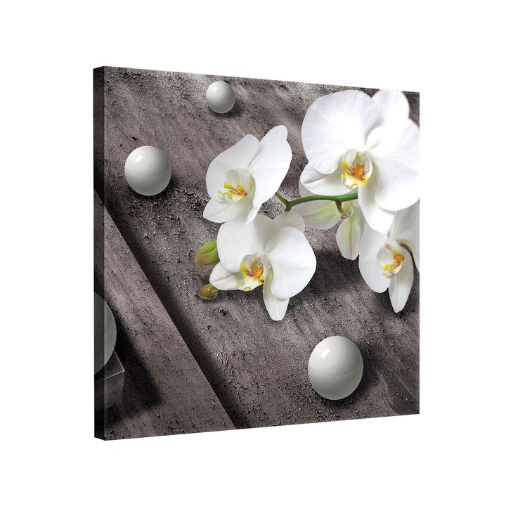 Tablou Canvas DEGRETS 78160 Orhidee 5, 80x80cm