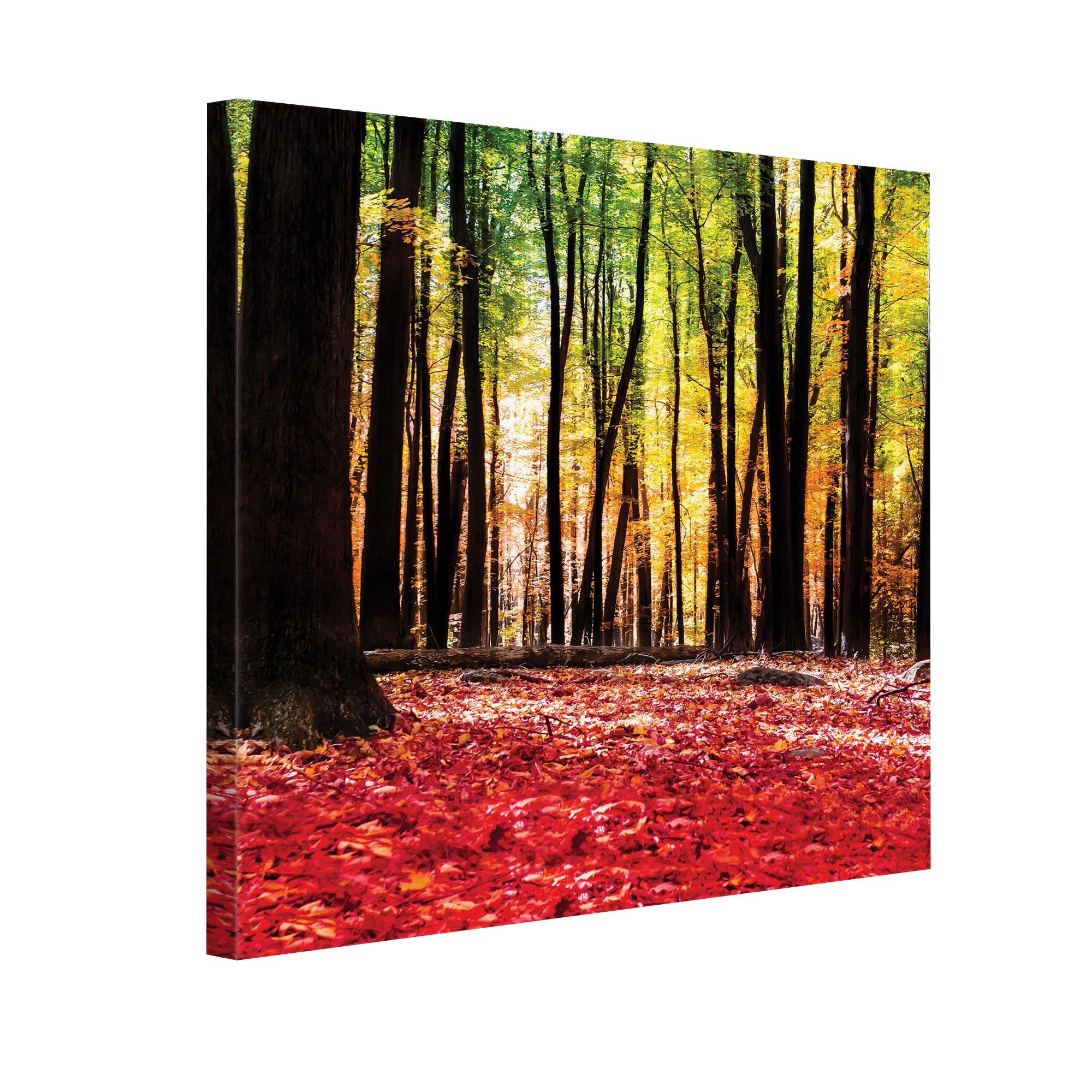 Tablou Canvas DEGRETS 78166 Toamna de poveste, 80x80cm