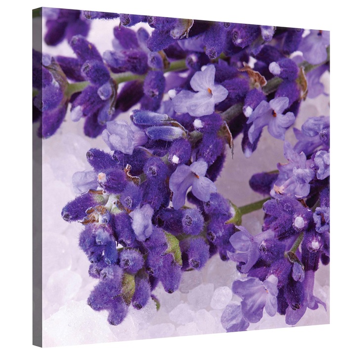 Tablou Canvas DEGRETS 78173 Liliac, 80x80cm