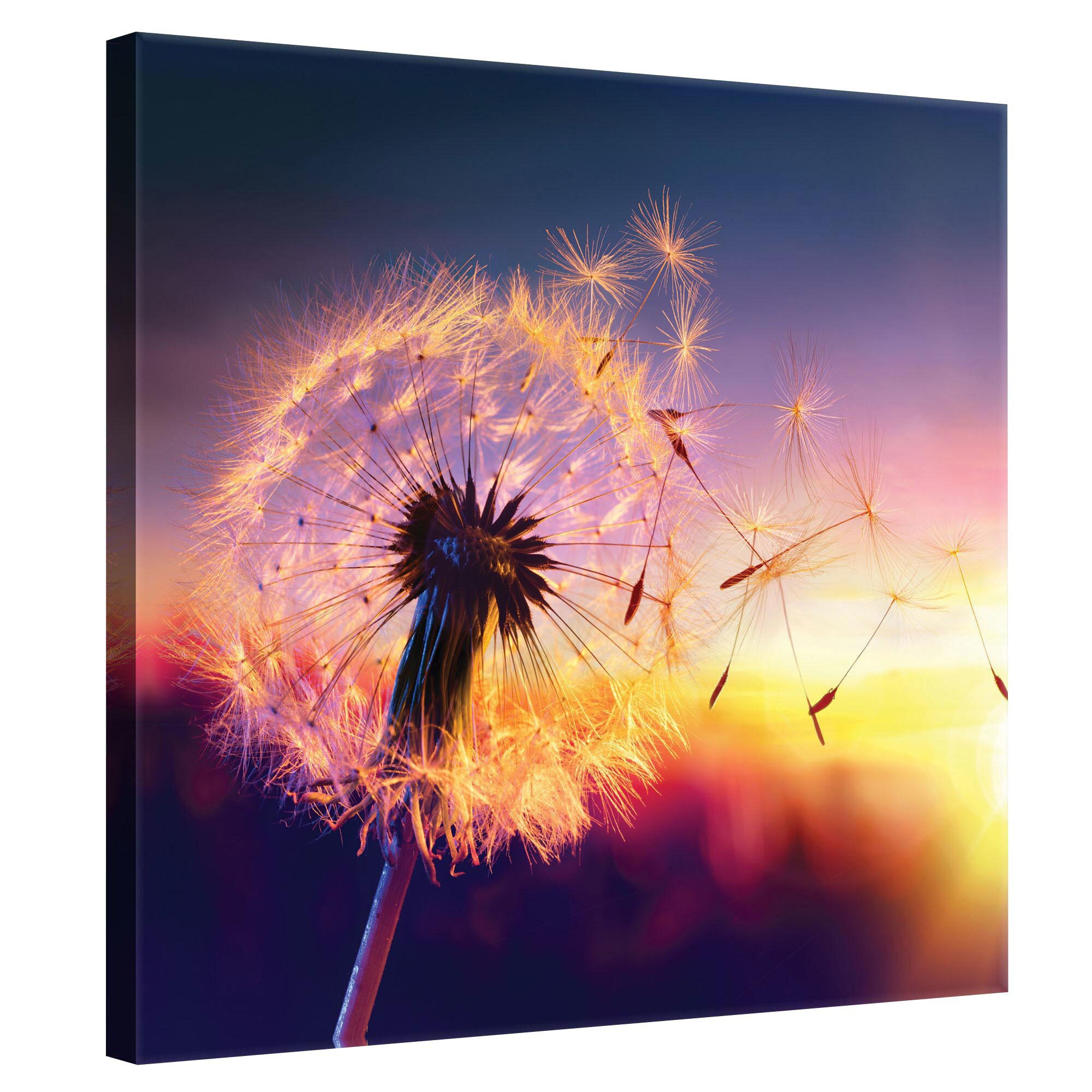 Tablou Canvas DEGRETS 78179 Papadie - apus, 80x80cm