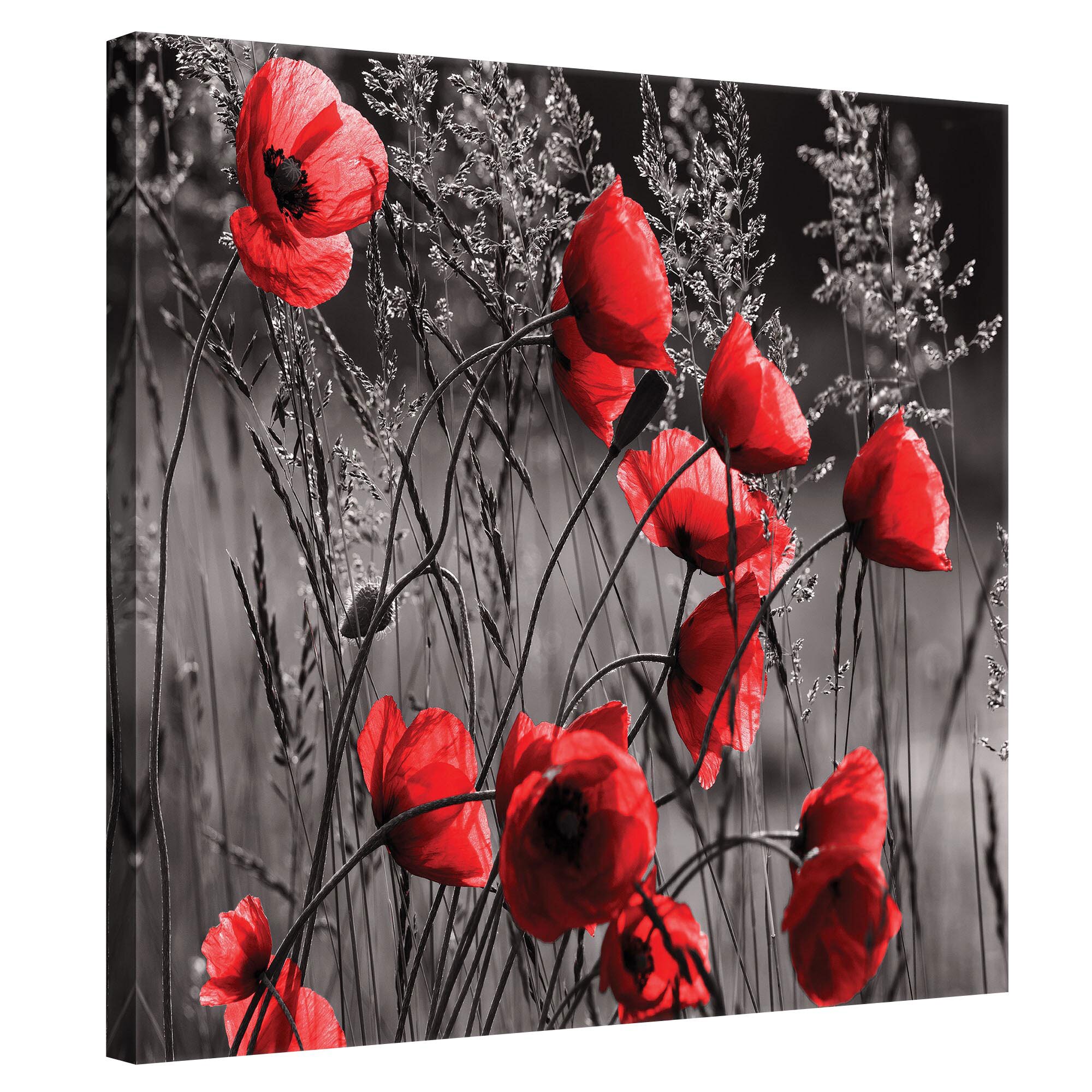 Tablou Canvas DEGRETS 78188 Mac 1, 80x80cm