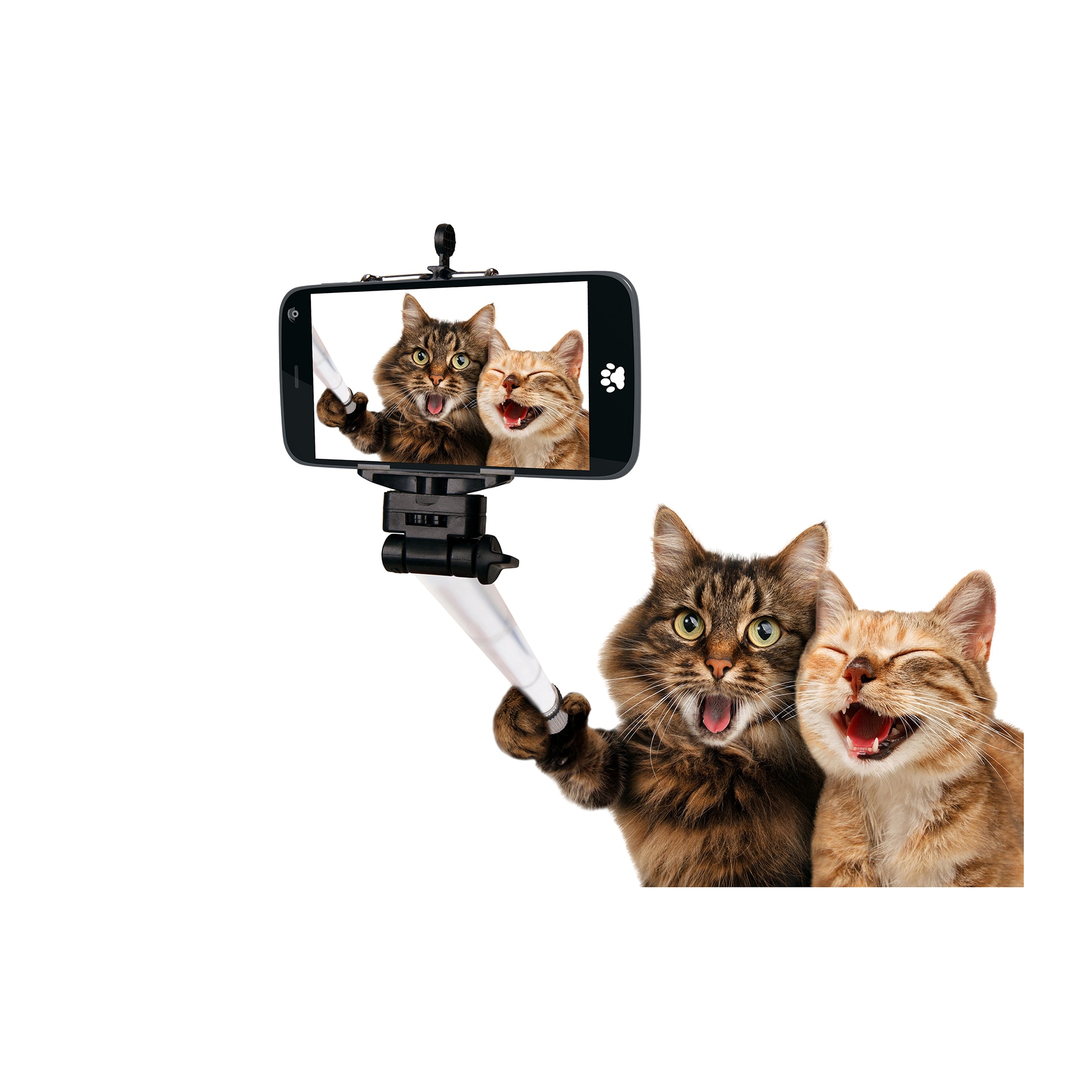 Fototapet Funny - BL-024, 70 x 100 cm