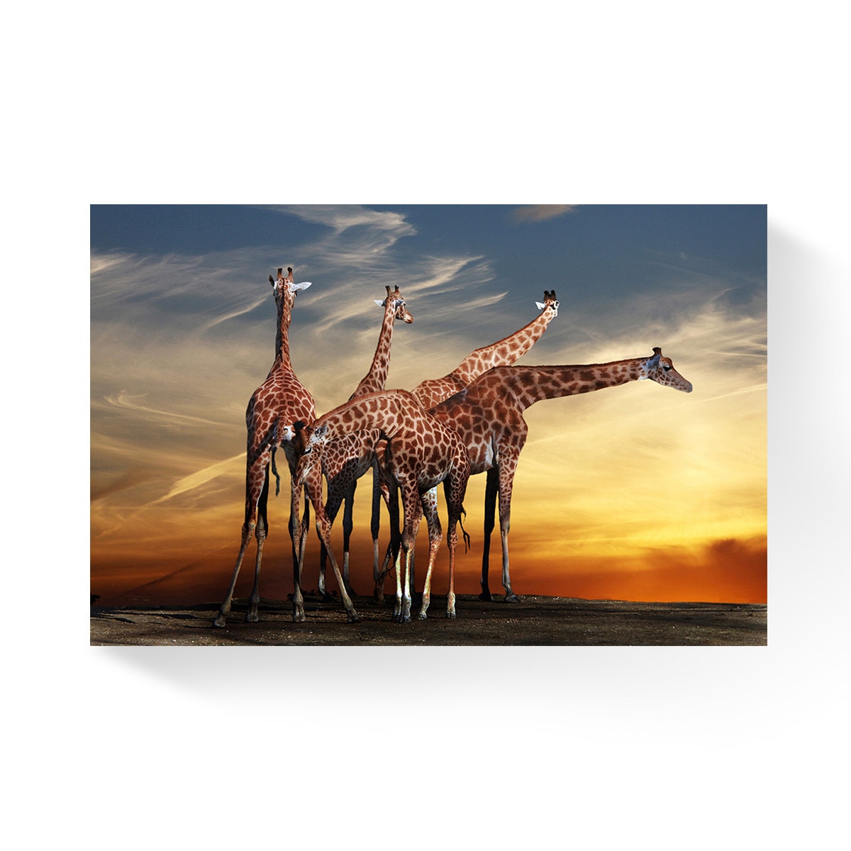 Tablou Canvas - Natura, Apus, Animale, Girafe, 60 x 90 cm