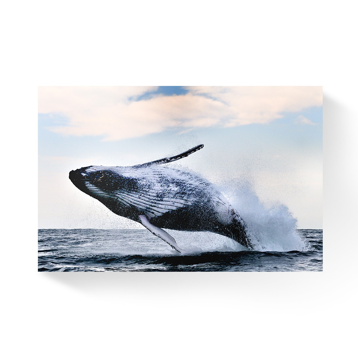 Tablou Canvas - Natura, Balena, Ocean 60 x 90 cm