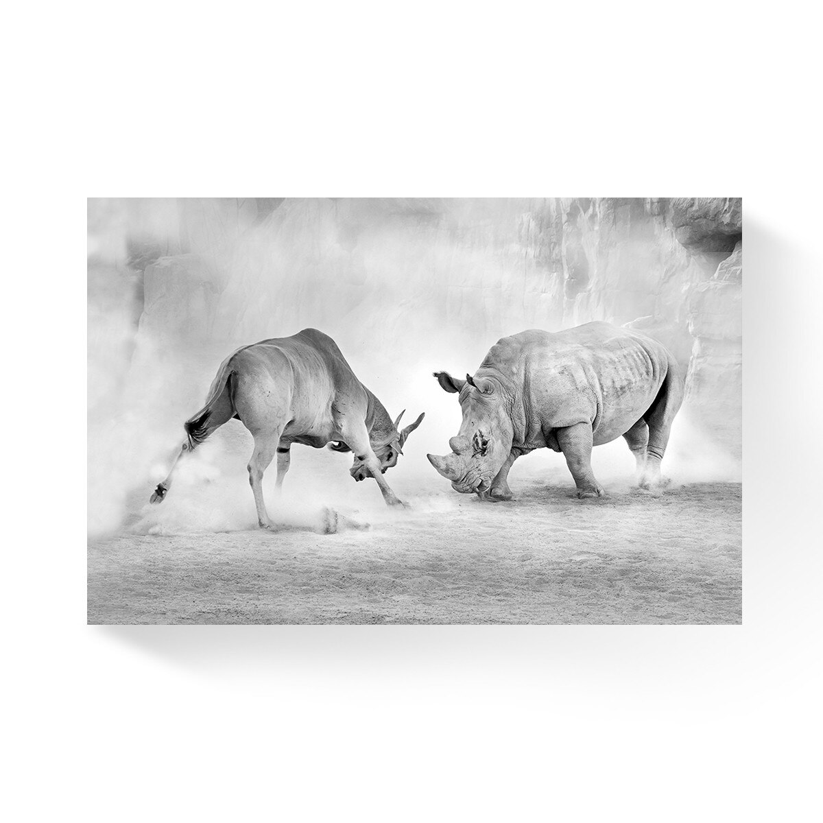 Tablou Canvas - Natura, Animale, Rinoce, Antilopa, 60 x 90 cm