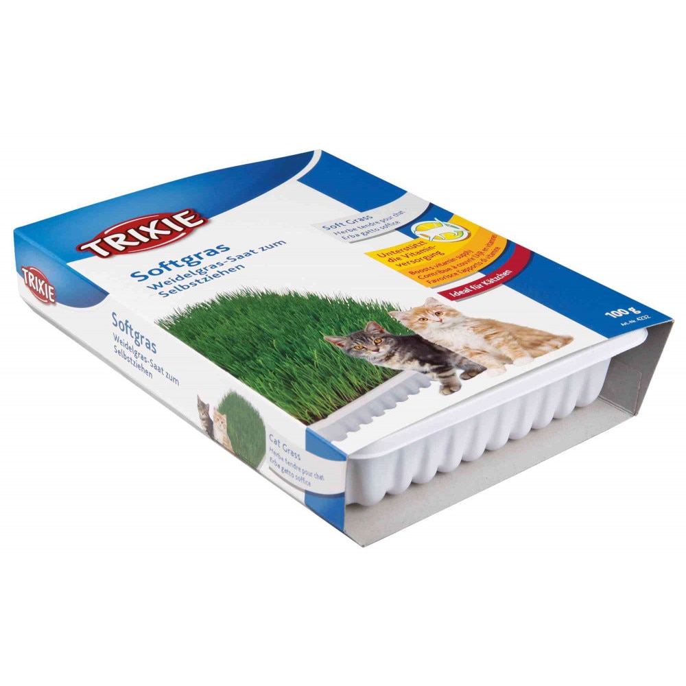Iarba Trixie soft pentru pisici 100 g 4232