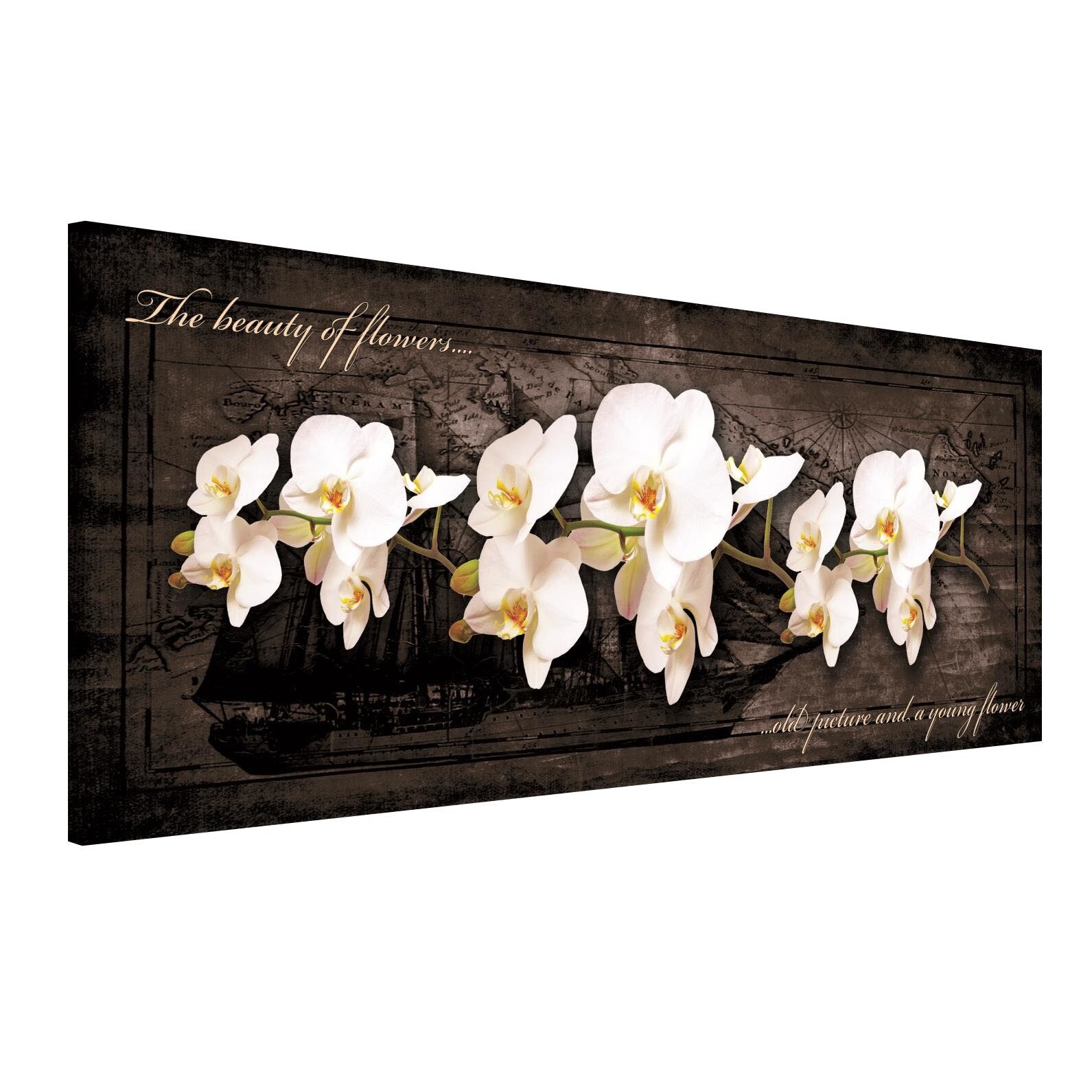 Tablou Canvas DEGRETS 78224 Orhidee 7, 45x145cm