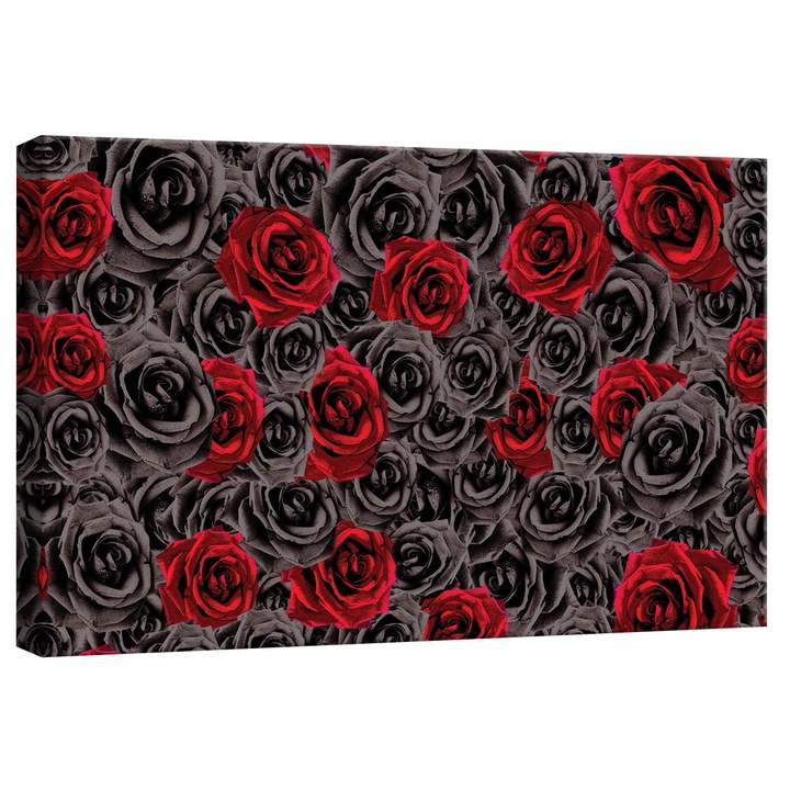 Tablou Canvas DEGRETS 78232 Trandafiri rosii - negru 3D, 40x60cm