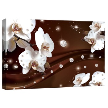 Tablou Canvas DEGRETS 78235 Orhidee Abstractie 3 3D, 40x60cm Tablou Canvas DEGRETS 78235 Orhidee Abstractie 3 3D, 40x60cm