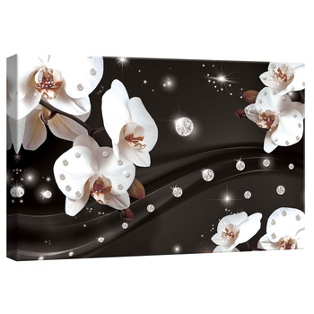 Tablou Canvas DEGRETS 78237 Orhidee Abstractie 2 3D, 40x60cm Tablou Canvas DEGRETS 78237 Orhidee Abstractie 2 3D, 40x60cm