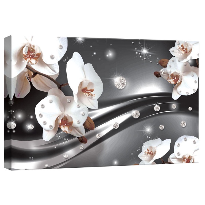 Tablou Canvas DEGRETS 78239 Orhidee Abstractie 3 3D, 40x60cm